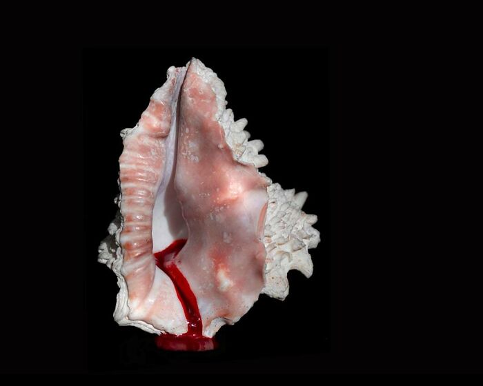 These Flower-Powered Artworks Totally Nail What It Feels Like to Be a Woman (37 Pics)