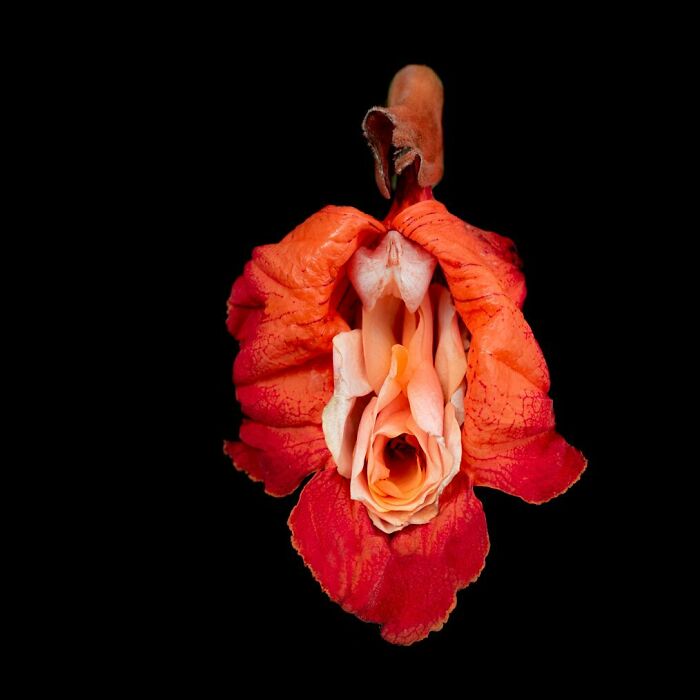 These Flower-Powered Artworks Totally Nail What It Feels Like to Be a Woman (37 Pics)