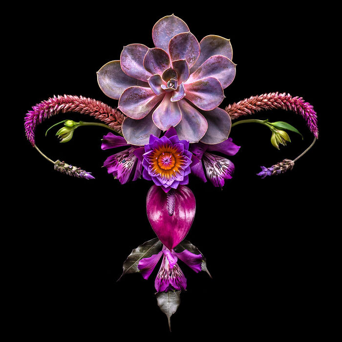 These Flower-Powered Artworks Totally Nail What It Feels Like to Be a Woman (37 Pics)