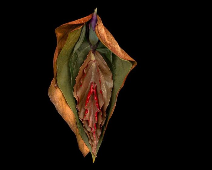 These Flower-Powered Artworks Totally Nail What It Feels Like to Be a Woman (37 Pics)