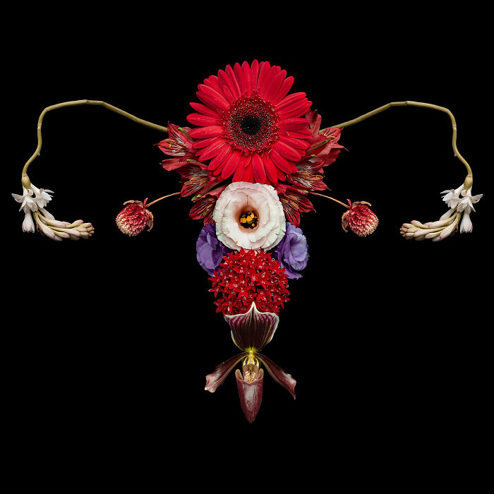 These Flower-Powered Artworks Totally Nail What It Feels Like to Be a Woman (37 Pics)