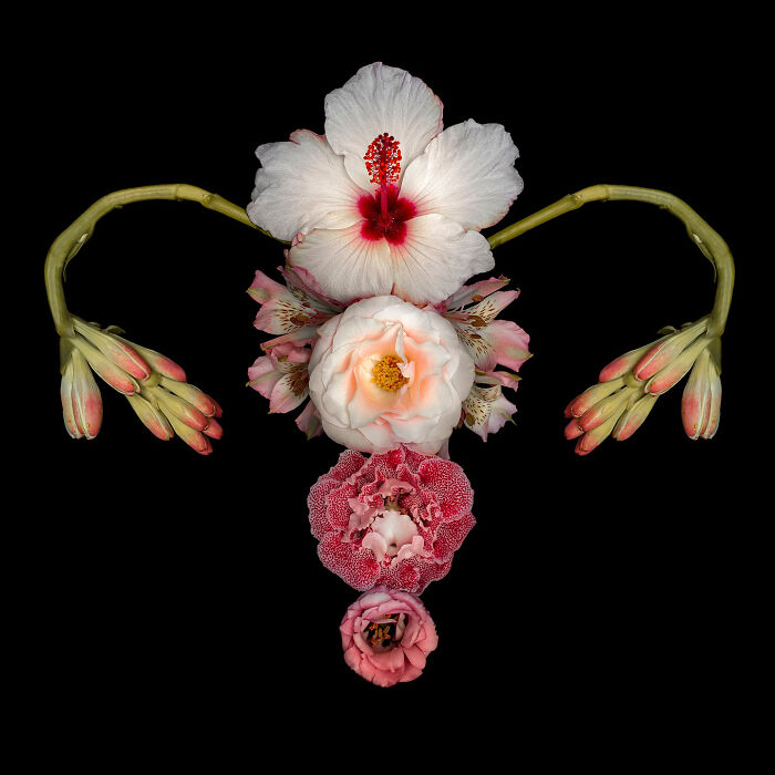 These Flower-Powered Artworks Totally Nail What It Feels Like to Be a Woman (37 Pics)