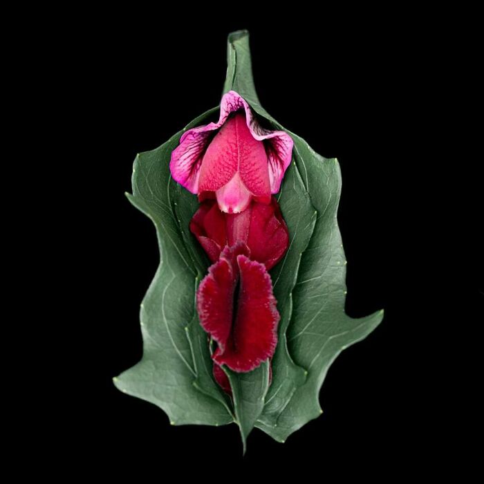 These Flower-Powered Artworks Totally Nail What It Feels Like to Be a Woman (37 Pics)