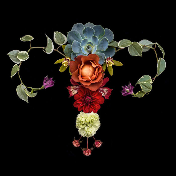 These Flower-Powered Artworks Totally Nail What It Feels Like to Be a Woman (37 Pics)