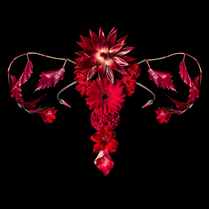These Flower-Powered Artworks Totally Nail What It Feels Like to Be a Woman (37 Pics)