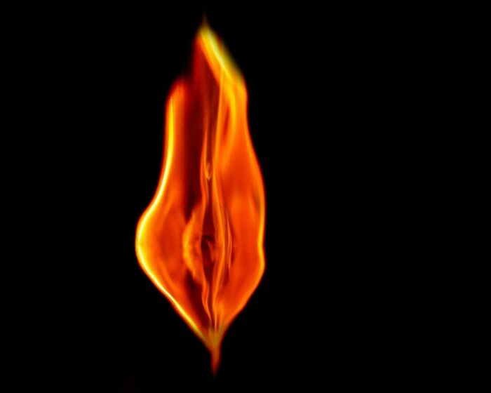 These Flower-Powered Artworks Totally Nail What It Feels Like to Be a Woman (37 Pics)