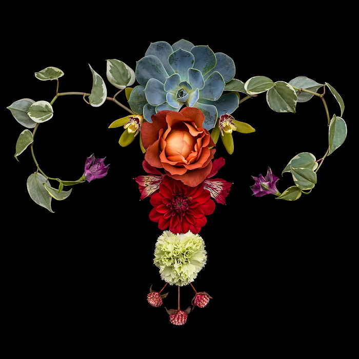 These Flower-Powered Artworks Totally Nail What It Feels Like to Be a Woman (37 Pics)