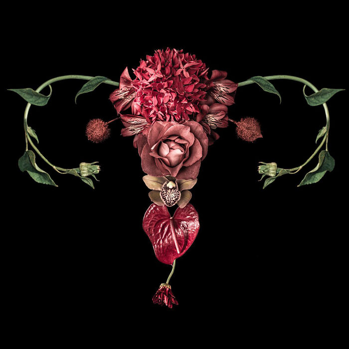 These Flower-Powered Artworks Totally Nail What It Feels Like to Be a Woman (37 Pics)