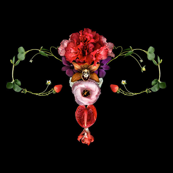 These Flower-Powered Artworks Totally Nail What It Feels Like to Be a Woman (37 Pics)