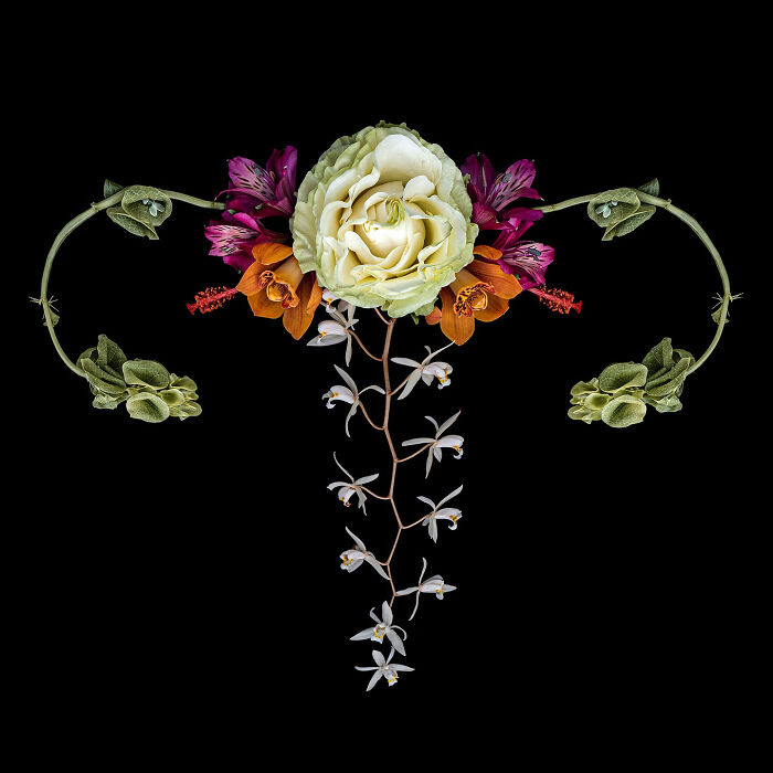 These Flower-Powered Artworks Totally Nail What It Feels Like to Be a Woman (37 Pics)