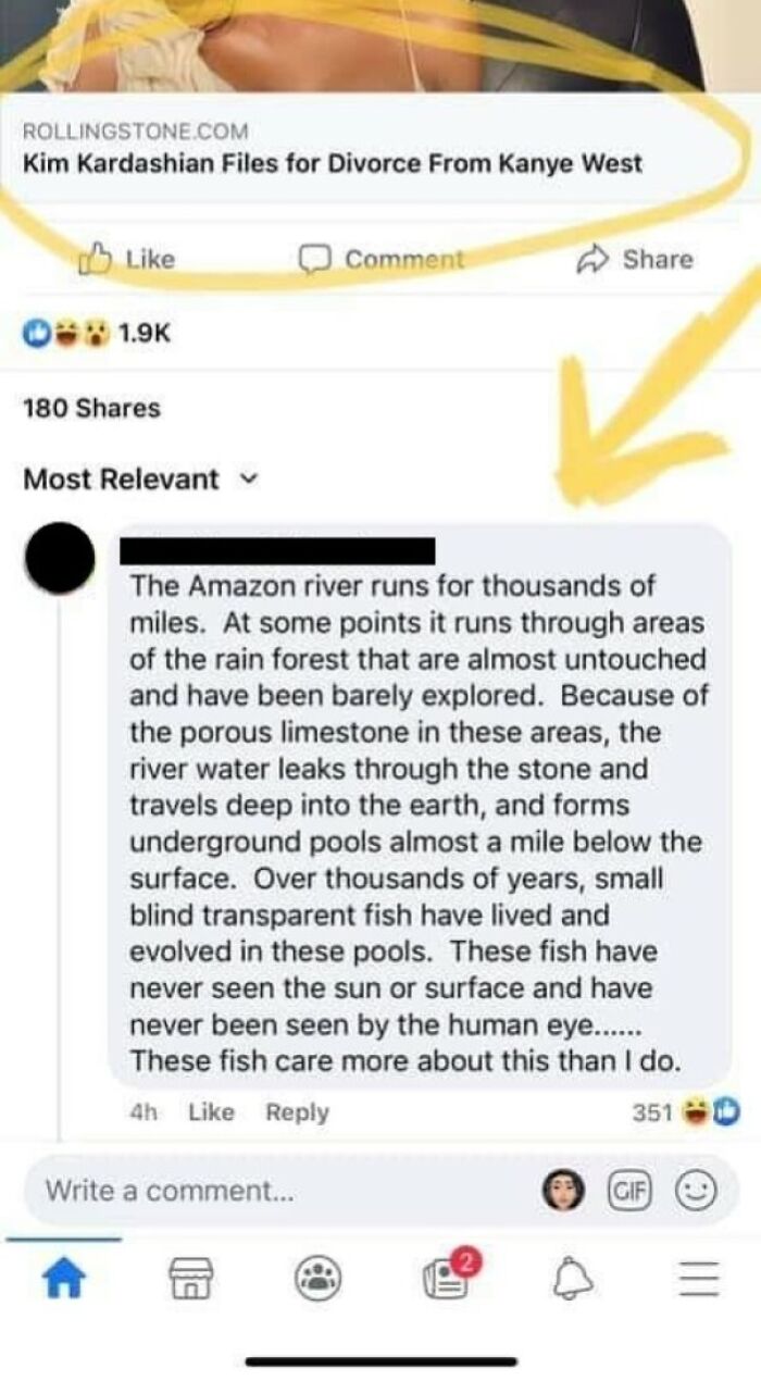 A Science Lesson You Didn’t Ask For