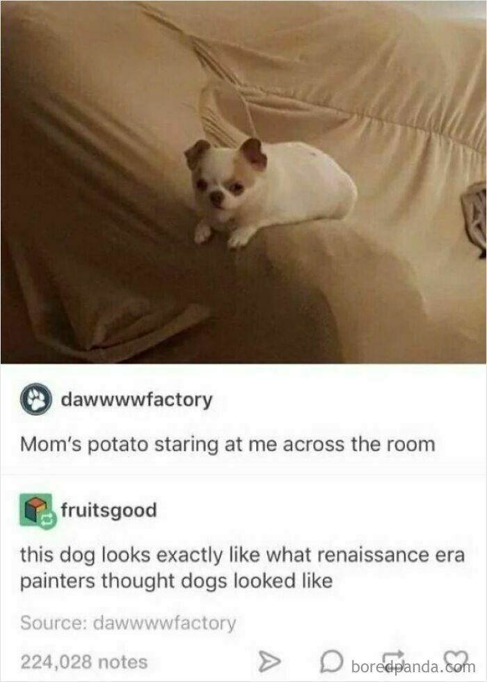 Wait, They Actually Ranked These Savage Roasts?!