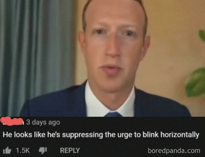 Wait, They Actually Ranked These Savage Roasts?!