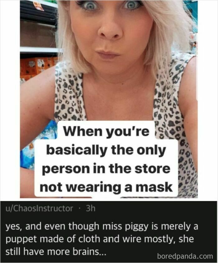 Wait, They Actually Ranked These Savage Roasts?!