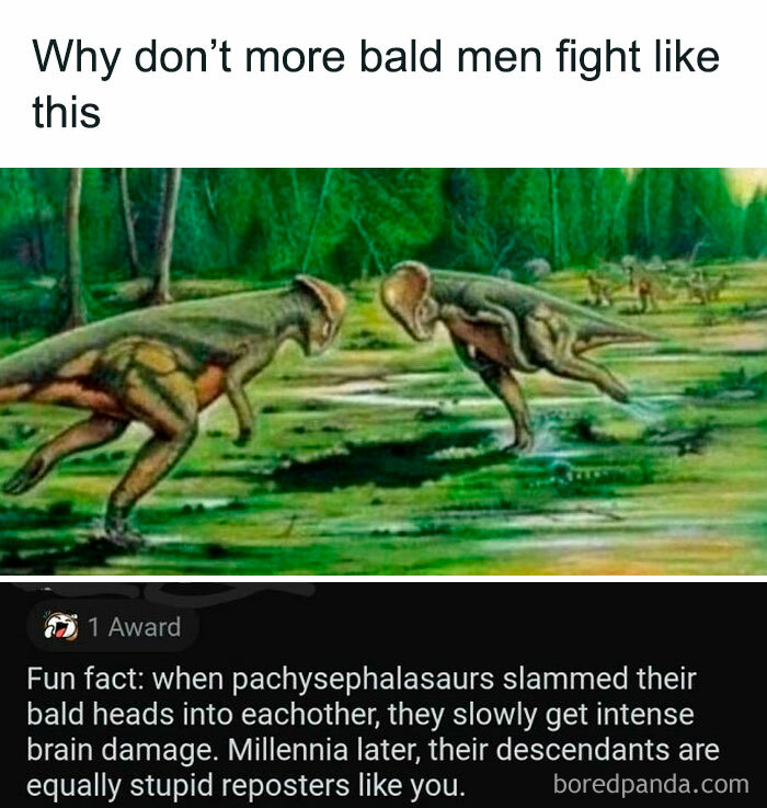 Wait, They Actually Ranked These Savage Roasts?!