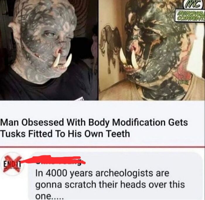 Wait, They Actually Ranked These Savage Roasts?!