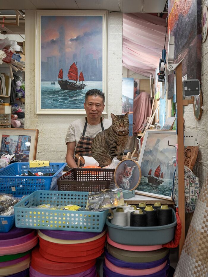 Candid City Cats Stealing the Spotlight in These 40+ Snaps!