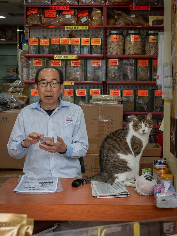 Candid City Cats Stealing the Spotlight in These 40+ Snaps!