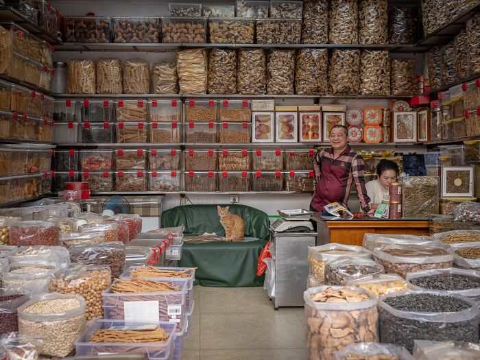 Candid City Cats Stealing the Spotlight in These 40+ Snaps!