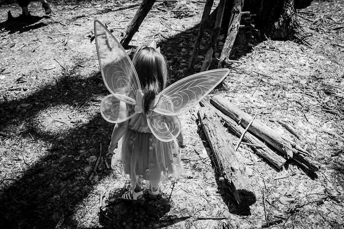 Wait, They Actually Said That? Hilariously Out-of-Touch Gen Z Moments