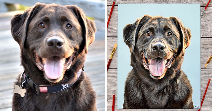 Wait, This Artist Paints Pets So Real You’ll Do a Double-Take!