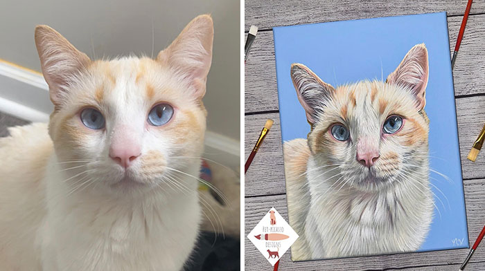 Wait, This Artist Paints Pets So Real You’ll Do a Double-Take!