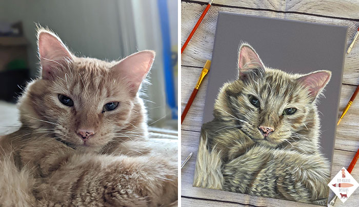 Wait, This Artist Paints Pets So Real You’ll Do a Double-Take!