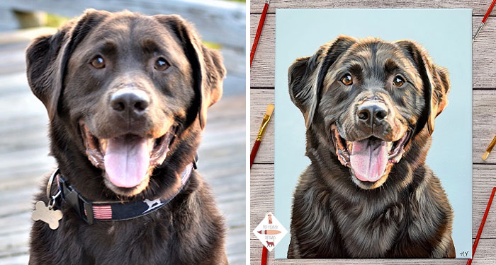 Wait, This Artist Paints Pets So Real You’ll Do a Double-Take!