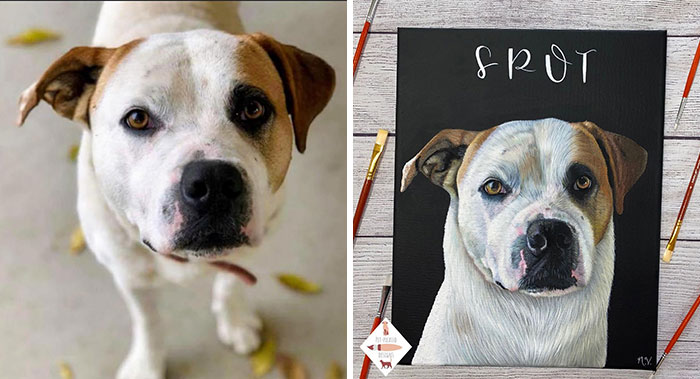 Wait, This Artist Paints Pets So Real You’ll Do a Double-Take!