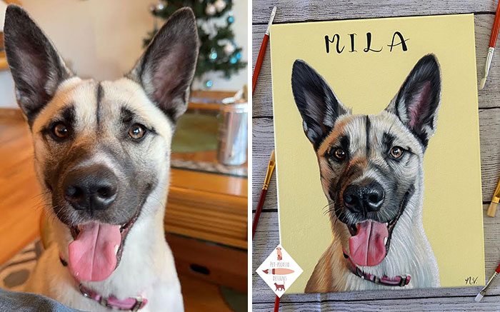 Wait, This Artist Paints Pets So Real You’ll Do a Double-Take!