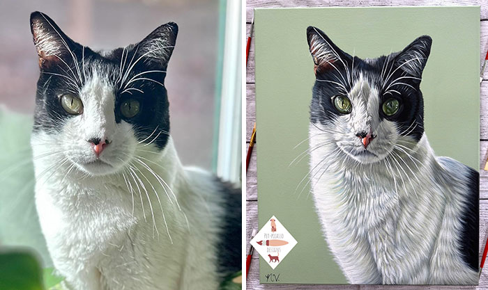 Wait, This Artist Paints Pets So Real You’ll Do a Double-Take!