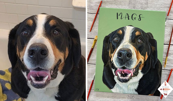 Wait, This Artist Paints Pets So Real You’ll Do a Double-Take!
