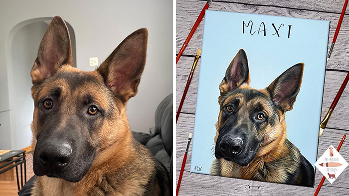 Wait, This Artist Paints Pets So Real You’ll Do a Double-Take!