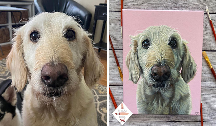 Wait, This Artist Paints Pets So Real You’ll Do a Double-Take!