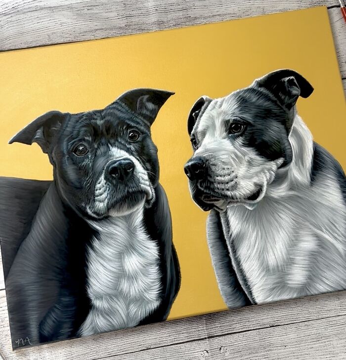 Wait, This Artist Paints Pets So Real You’ll Do a Double-Take!