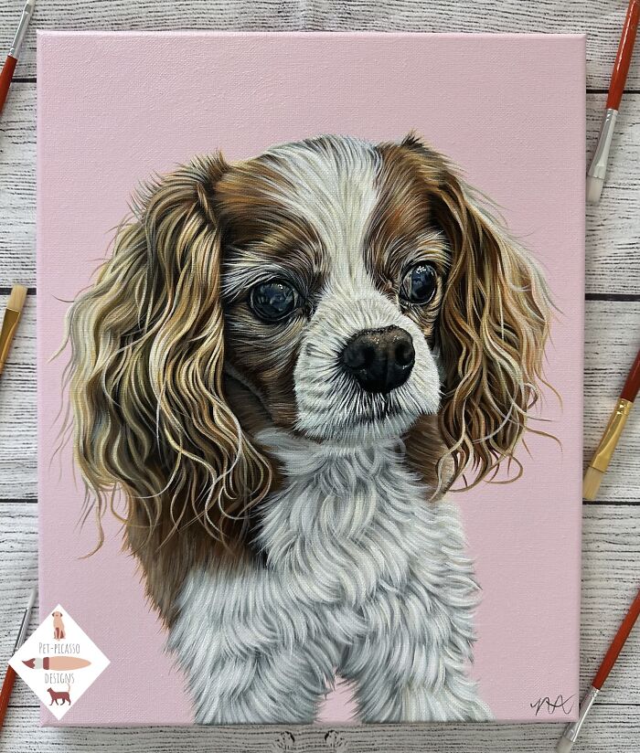 Wait, This Artist Paints Pets So Real You’ll Do a Double-Take!