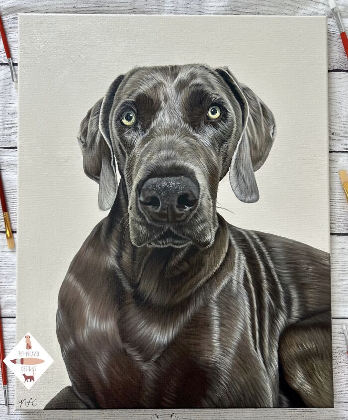 Wait, This Artist Paints Pets So Real You’ll Do a Double-Take!
