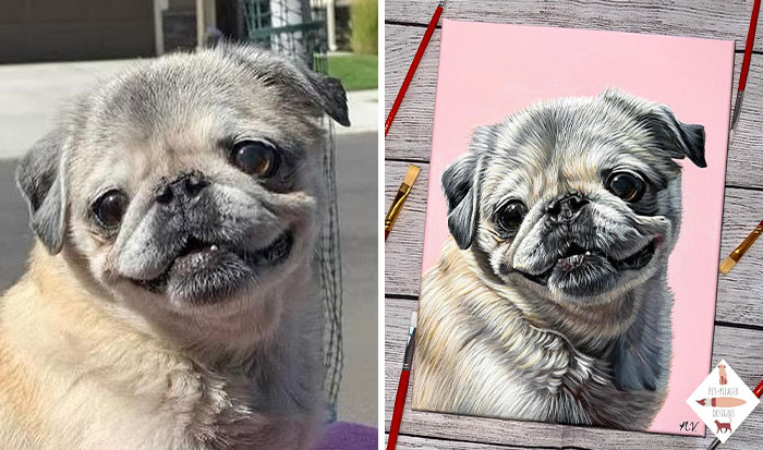 Wait, This Artist Paints Pets So Real You’ll Do a Double-Take!
