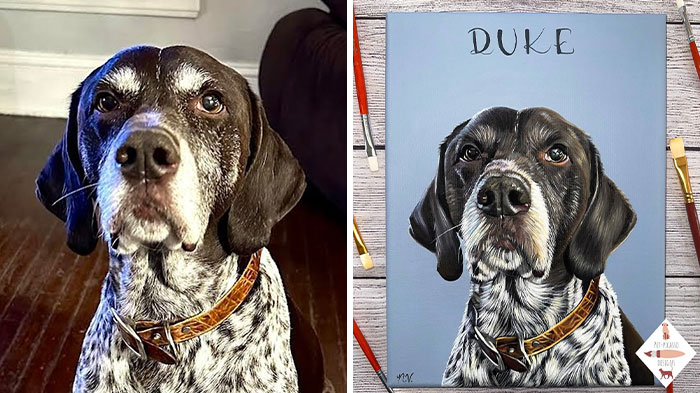 Wait, This Artist Paints Pets So Real You’ll Do a Double-Take!