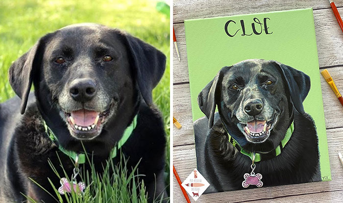 Wait, This Artist Paints Pets So Real You’ll Do a Double-Take!