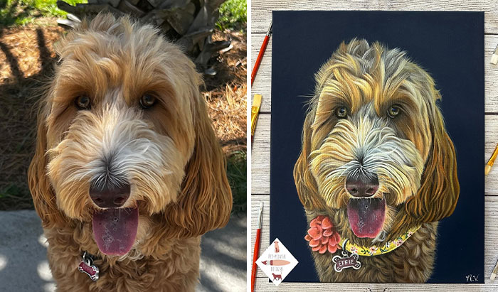 Wait, This Artist Paints Pets So Real You’ll Do a Double-Take!