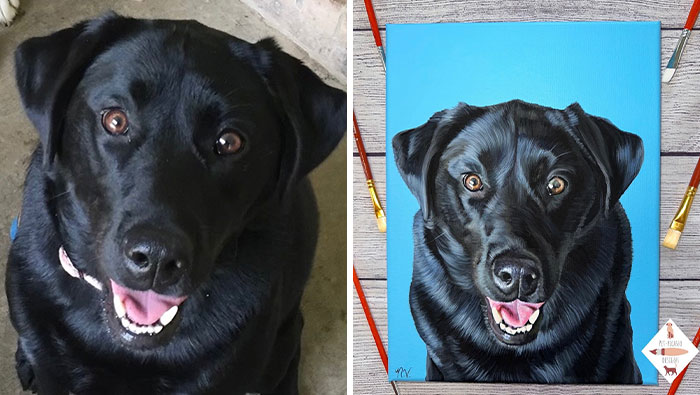 Wait, This Artist Paints Pets So Real You’ll Do a Double-Take!