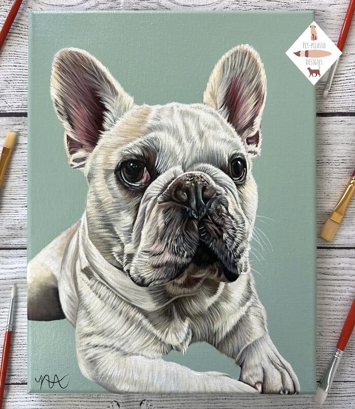 Wait, This Artist Paints Pets So Real You’ll Do a Double-Take!