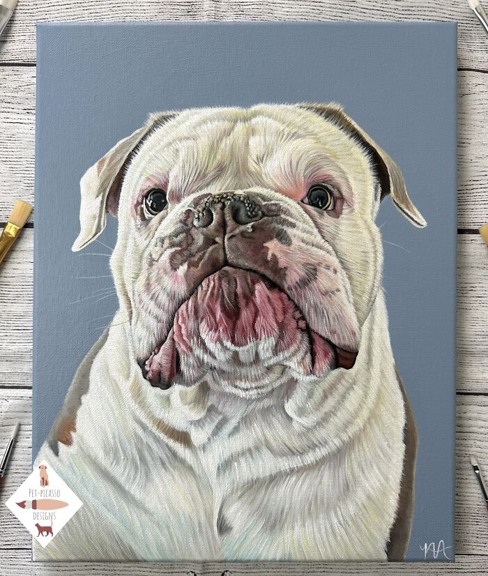 Wait, This Artist Paints Pets So Real You’ll Do a Double-Take!