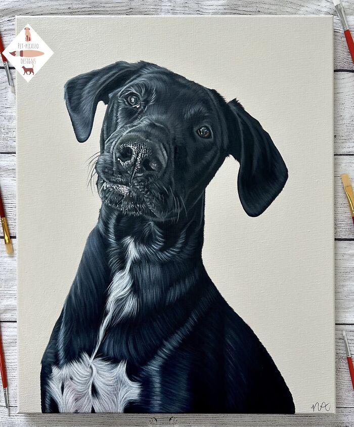 Wait, This Artist Paints Pets So Real You’ll Do a Double-Take!