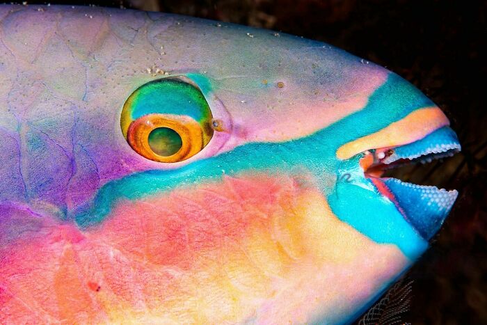 40 Ocean Shots That Totally Make You Feel the Sea’s Magic