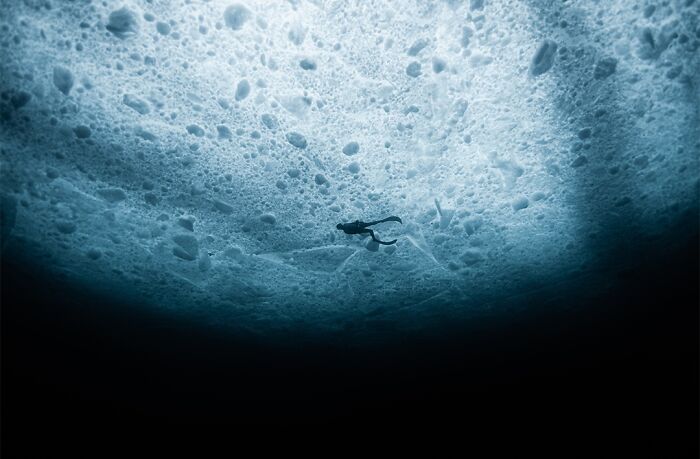 40 Ocean Shots That Totally Make You Feel the Sea’s Magic