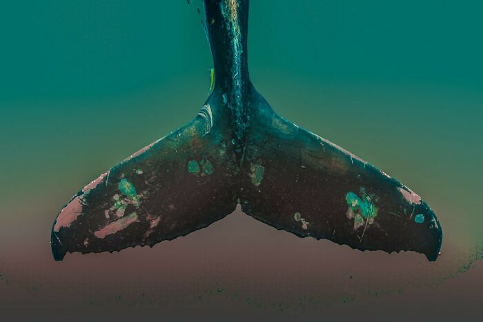 40 Ocean Shots That Totally Make You Feel the Sea’s Magic