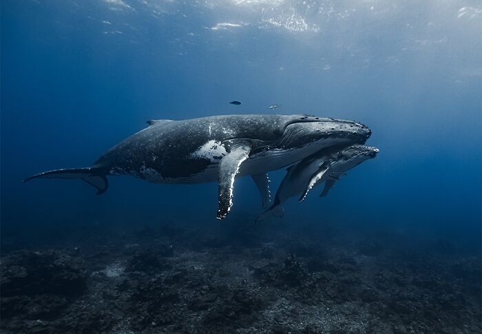 40 Ocean Shots That Totally Make You Feel the Sea’s Magic