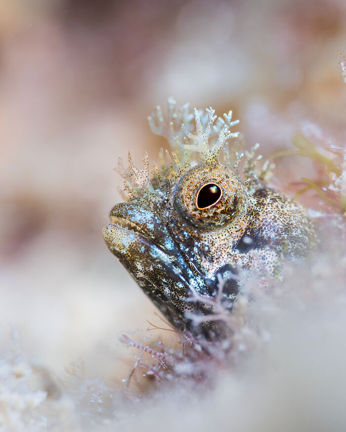 40 Ocean Shots That Totally Make You Feel the Sea’s Magic